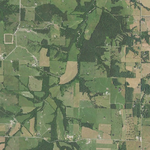 Aerial imagery of Blue Spring, MO