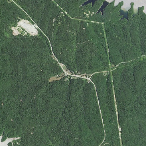 Aerial imagery of Bowen Branch, MO