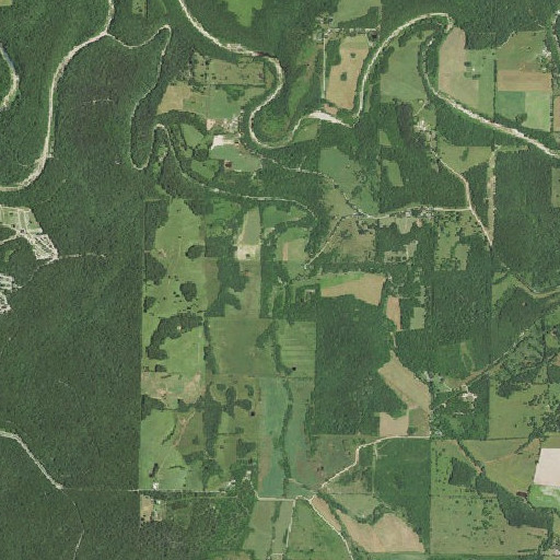Aerial imagery of Bridges Branch, MO