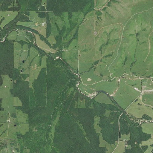 Aerial imagery of Burkhart Branch, MO