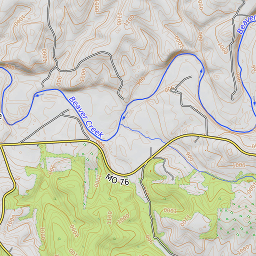 OpenTopoMap map of Dick Branch, MO