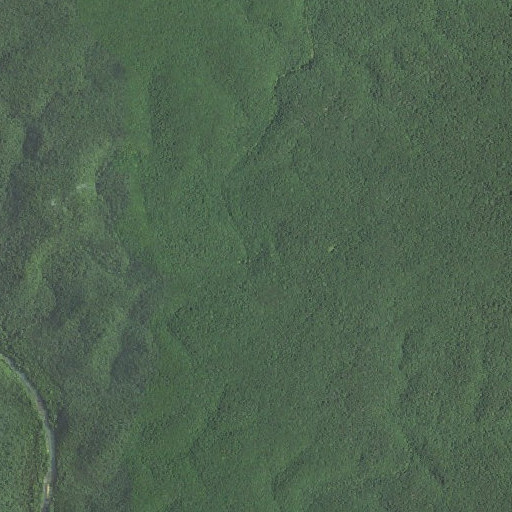 Aerial imagery of Fiddler Spring, MO