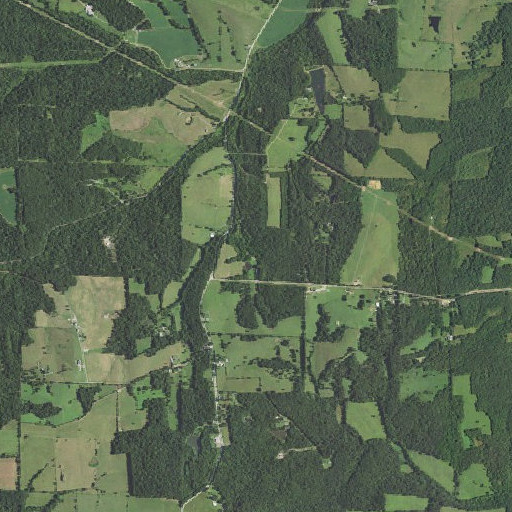 Aerial imagery of Green School, MO
