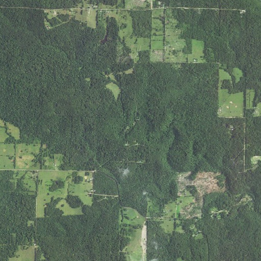 Aerial imagery of Jones Spring, MO