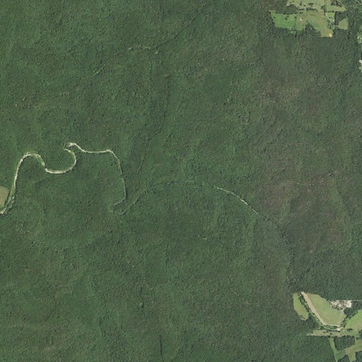 Aerial imagery of Lick Branch, MO