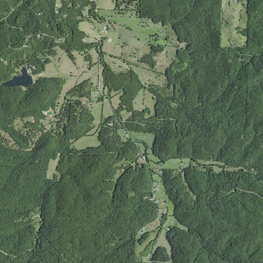 Aerial imagery of Munsell Spring, MO