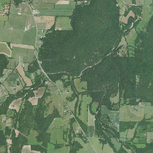 Aerial imagery of Saline Creek, MO