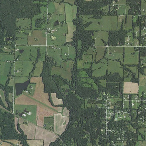 Aerial imagery of Sally Branch, MO