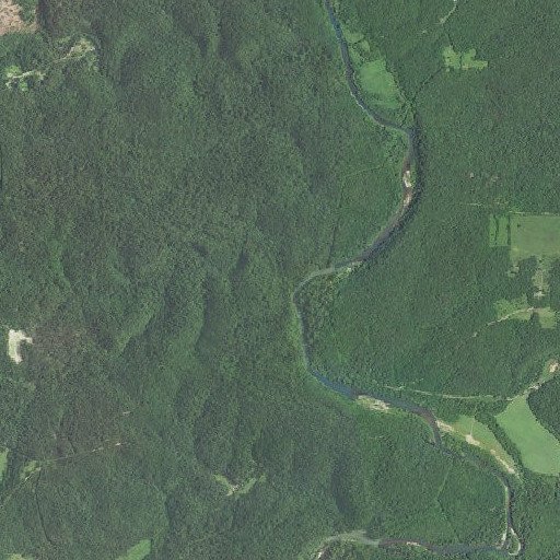 Aerial imagery of Turtle Island Spring, MO