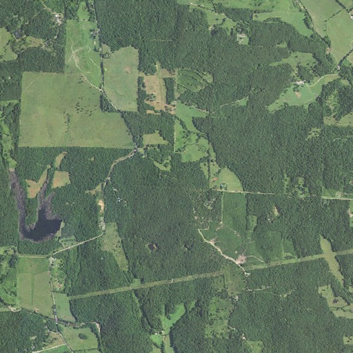 Aerial imagery of Union School, MO