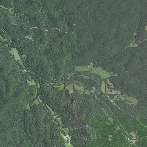 Aerial imagery of Section Hollow, MO