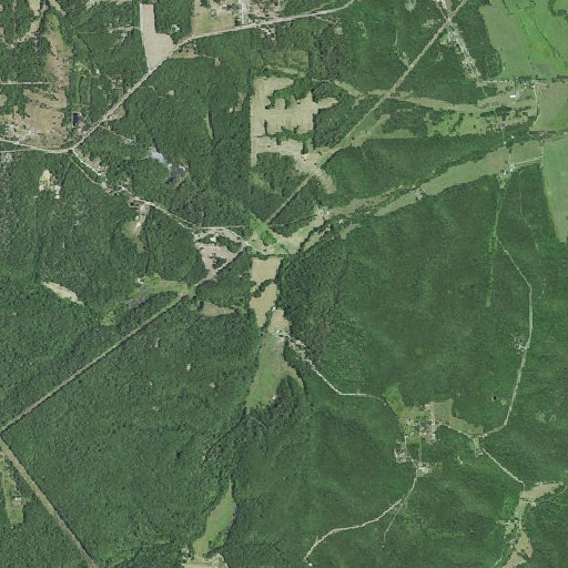 Aerial imagery of Nelson Branch, MO