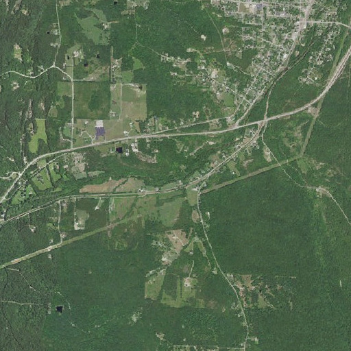 Aerial imagery of Banister Branch, MO