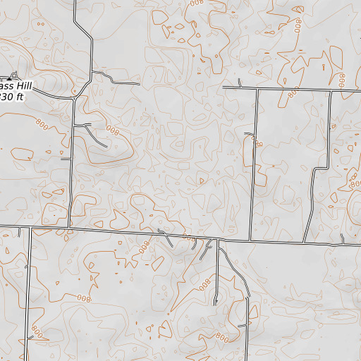 OpenTopoMap map of Camp Branch, MO