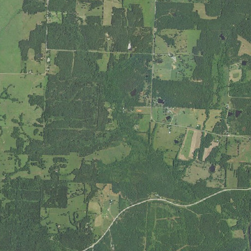 Aerial imagery of Phillips Branch, MO