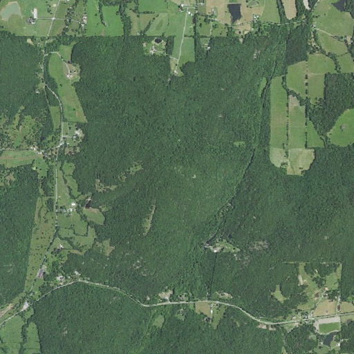 Aerial imagery of Pine Mountain, MO