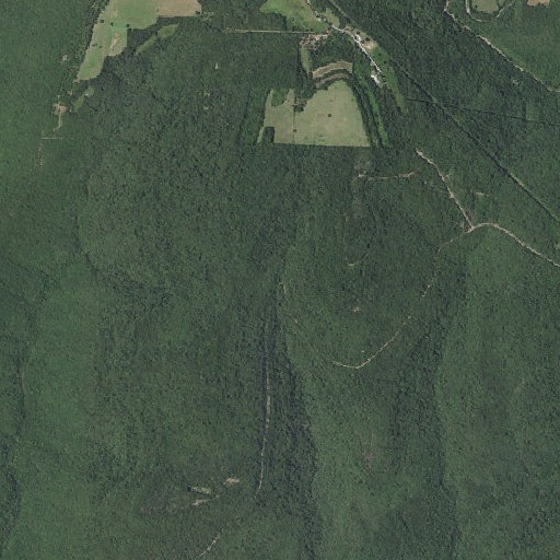 Aerial imagery of Switchback Lake, AR