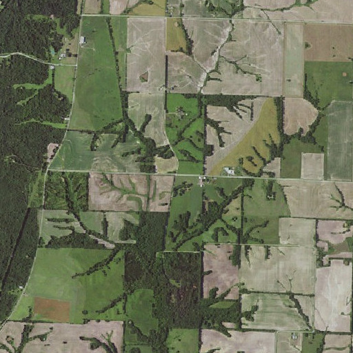 Aerial imagery of Cottage Post Office, MO