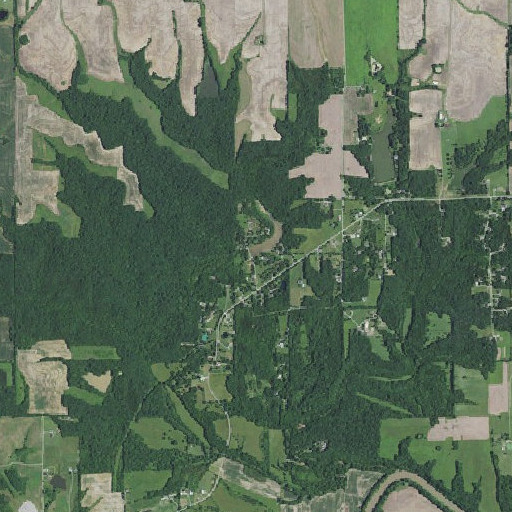 Aerial imagery of Bowman Dam, MO