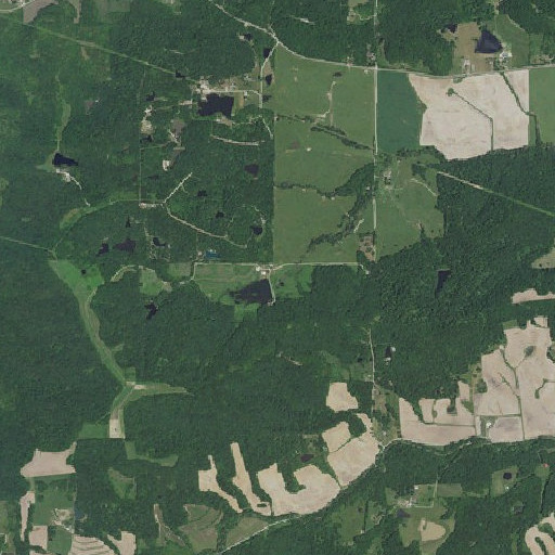 Aerial imagery of Wilhite Dam, MO