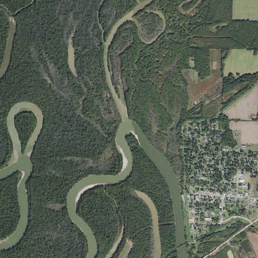 Aerial imagery of Cache River, AR