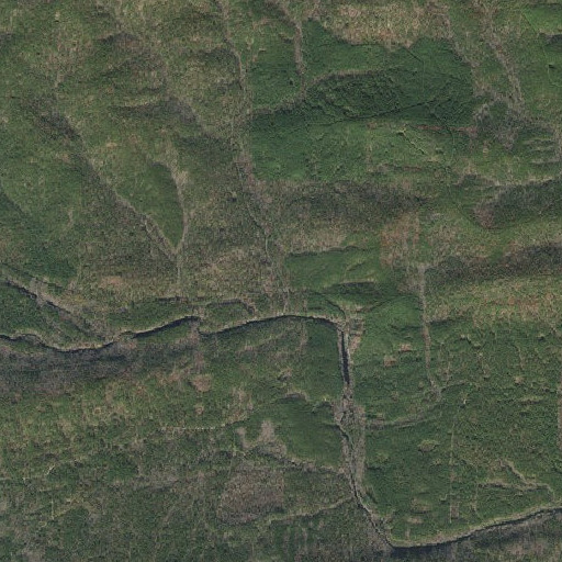 Aerial imagery of Clenny Branch, AR
