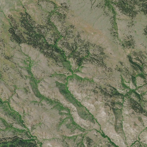 Aerial imagery of Canyon Spring, MT