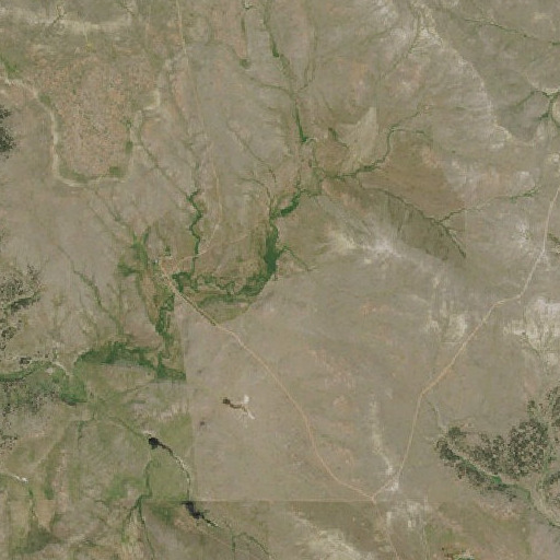 Aerial imagery of Boyce Meadow Spring, MT