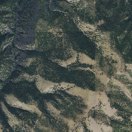 Aerial imagery of Dooley Spring, MT