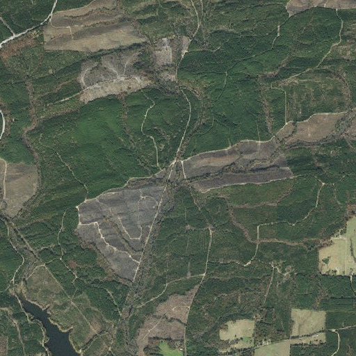 Aerial imagery of Trout Branch, AR