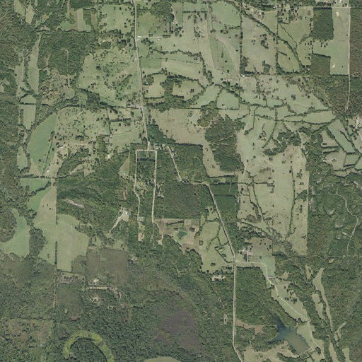 Aerial imagery of White Cliffs, AR