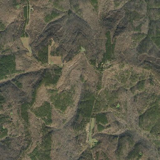 Aerial imagery of Ozark National Forest, AR