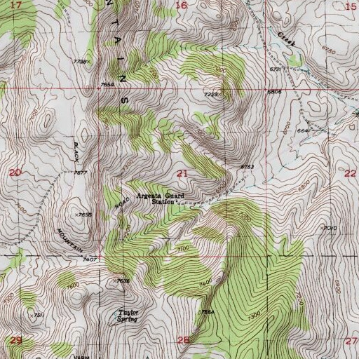 USGS 24K topo map of SE Section 21 Mine, MT