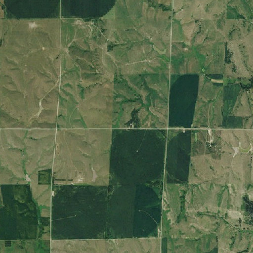 Aerial imagery of School Number 41, NE