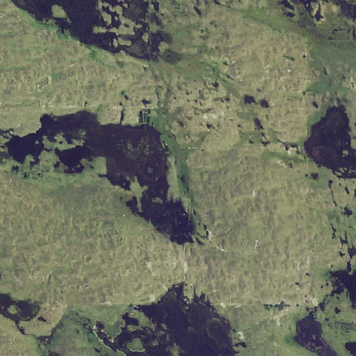 Aerial imagery of School Number 44, NE