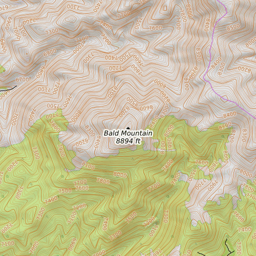 OpenTopoMap map of Bald Mountain, NV