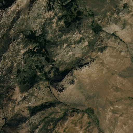 Aerial imagery of Corral Meadow, NV