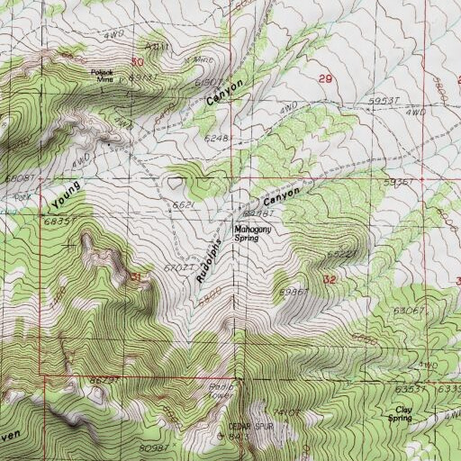 USGS 24K topo map of Mahogany Spring, NV