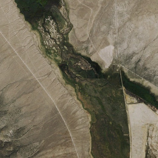 Aerial imagery of Steptoe Slough, NV