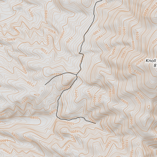 OpenTopoMap map of Tiser Spring, NV