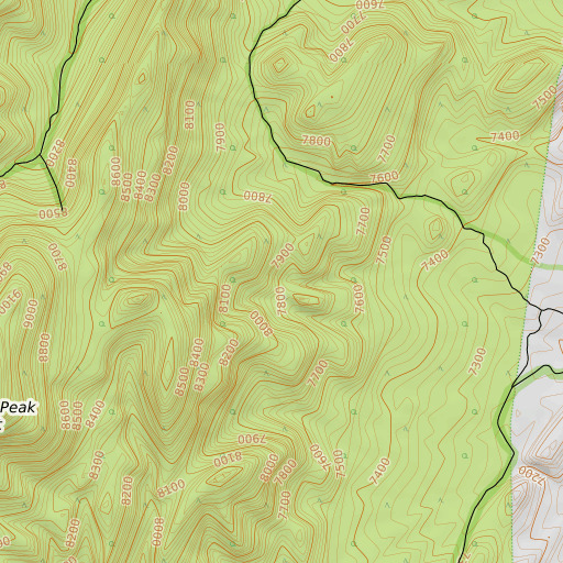 OpenTopoMap map of Silver Spring, NV