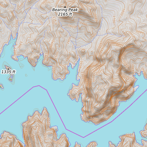 OpenTopoMap map of Bearing Cove, NV