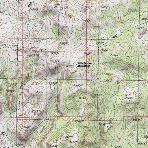 USGS 24K topo map of Wild Horse Mountain, NV