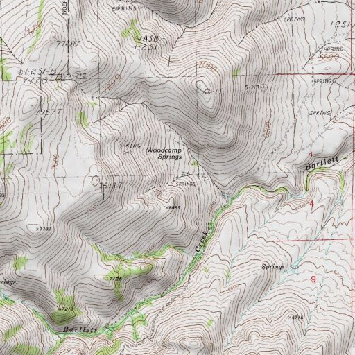 USGS 24K topo map of Woodcamp Springs, NV