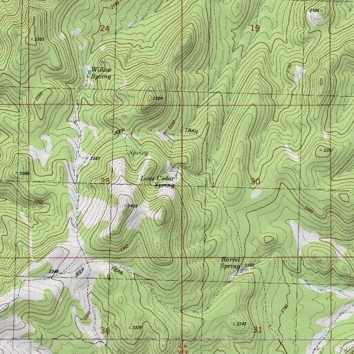 USGS 24K topo map of Lone Cedar Spring, NV