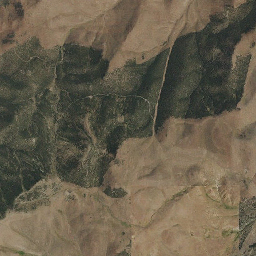 Aerial imagery of Lone Cedar Spring, NV