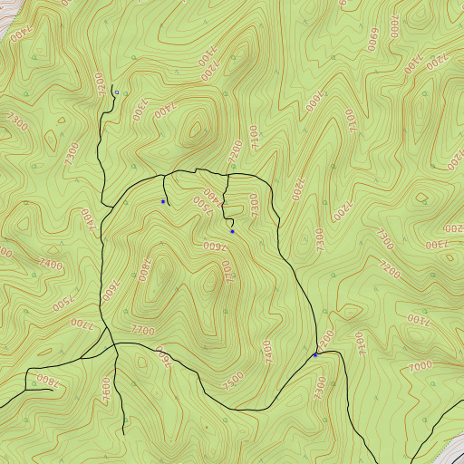 OpenTopoMap map of Lone Cedar Spring, NV