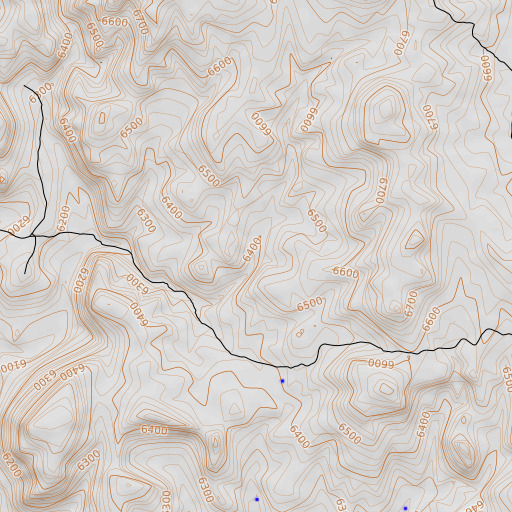 OpenTopoMap map of Rimrock Spring, NV