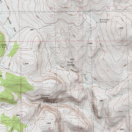 USGS 24K topo map of Trail Spring, NV
