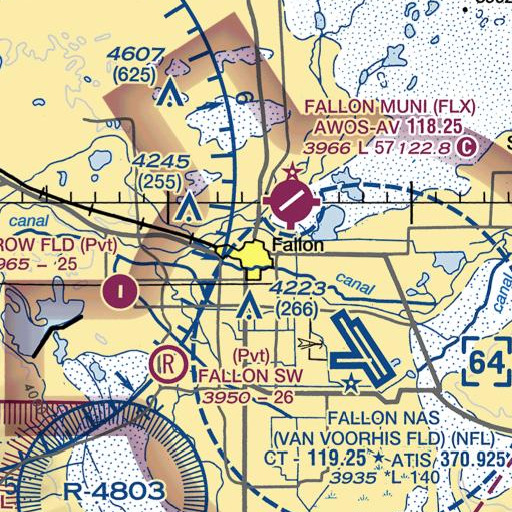 FAA VFR chart of Cottage Elementary School, NV
